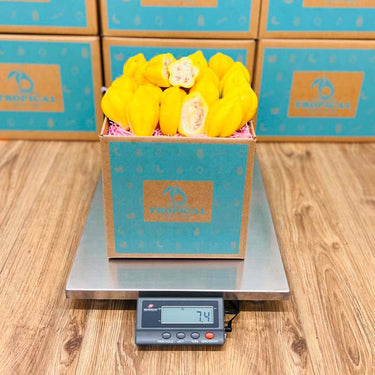 Mountain Papaya Papayas Tropical Fruit Box